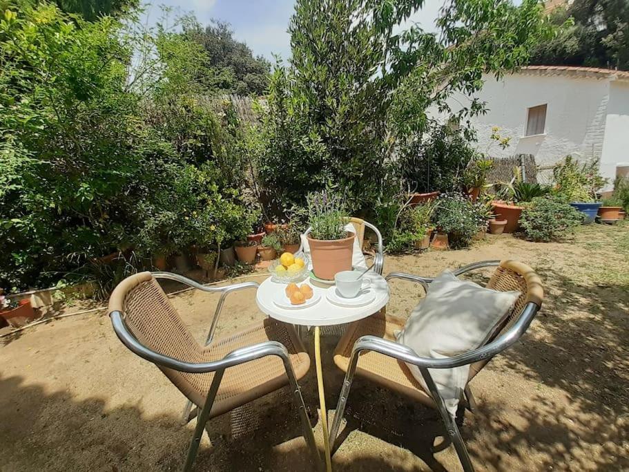 Appartement Maresme's Corner